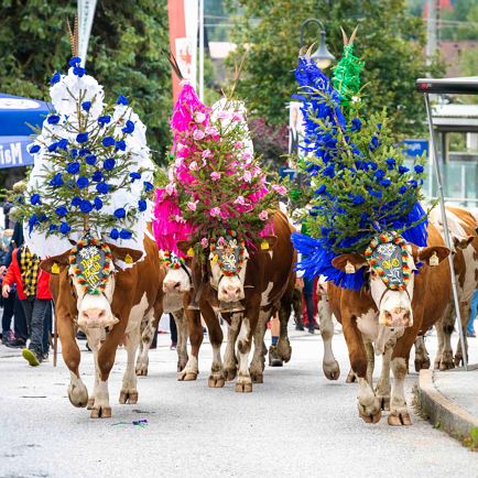 Almabtriebsfest in Hopfgarten en Kelchsau