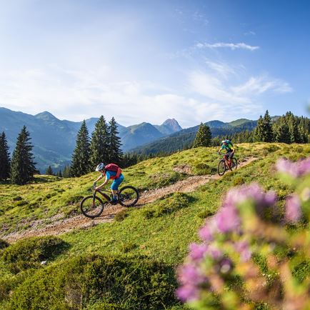 Wiegalmtrail Ride & Learn für Fortgeschrittene