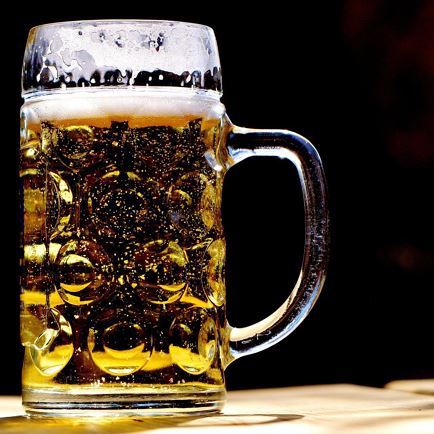 Feuerwehrfest der FF Bruckhäusl