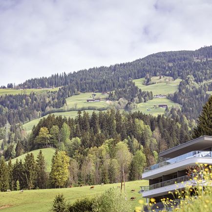 Brixental Suites Hopfgarten
