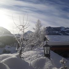Jänner 2019 (2)