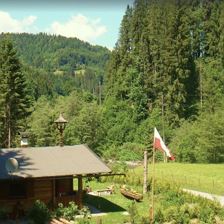 Hütte Waldzeit