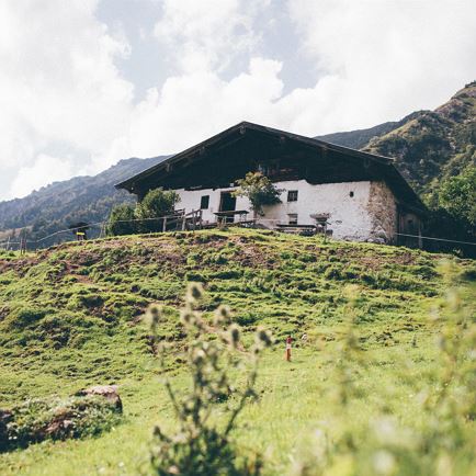 Vordere Ranggenalm