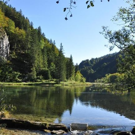 Wiesensee