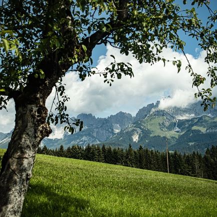 Zum Schwarzsee - der Wanderweg übers ganze Jahr