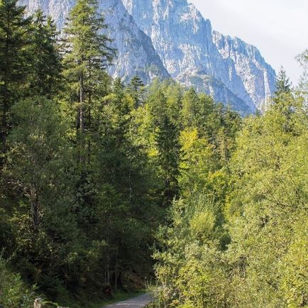Maukalm - Tröglgraben – Kaiserbachtal