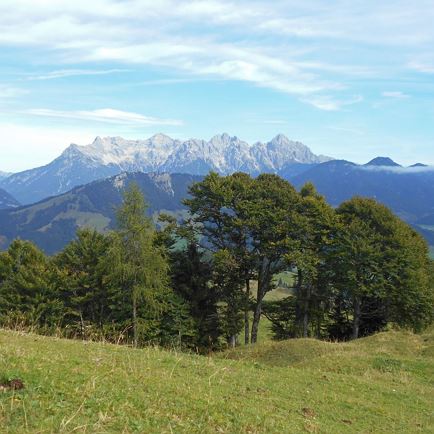 Middle station Streuböden - Wildalpgatterl - Jägersteig - Lärchfilzhochalm