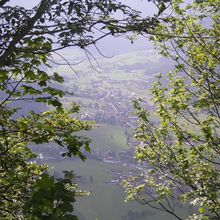 blick_auf_waidring.jpg