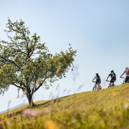 Pölven cycling round tour