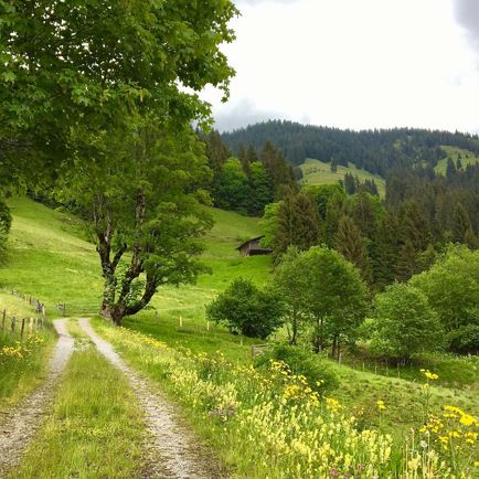 Wasserfallweg - Alpenrosensteig