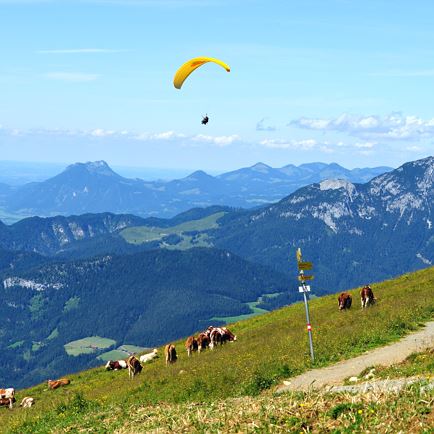 Paragleiter