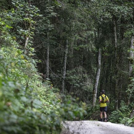 Trailrunning Waidring Hausberg
