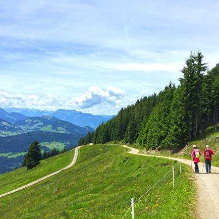 From Hopfgarten to the summit of the Hohe Salve
