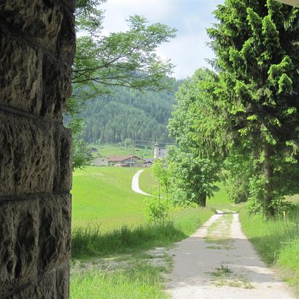 Wemeteigenalm - Steinplattengipfel