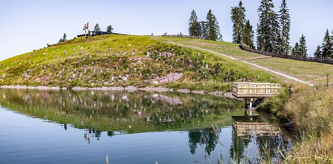 /media/gridteaser/kleine-salve-sommer-5.webp