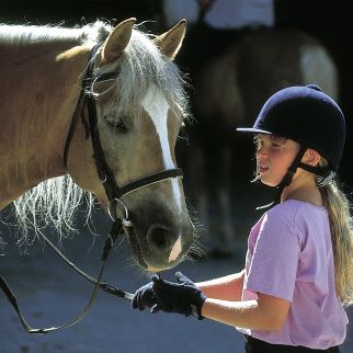 /media/gridteaser/pillerseetal-reiten-landhotel-strasserwirt-2-6.webp