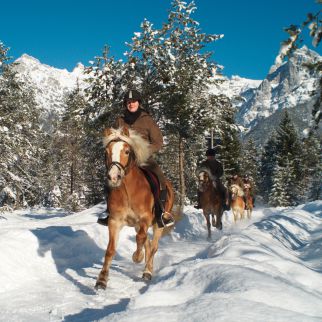 /media/gridteaser/pillerseetal-reiten-landhotel-strasserwirt-4.webp
