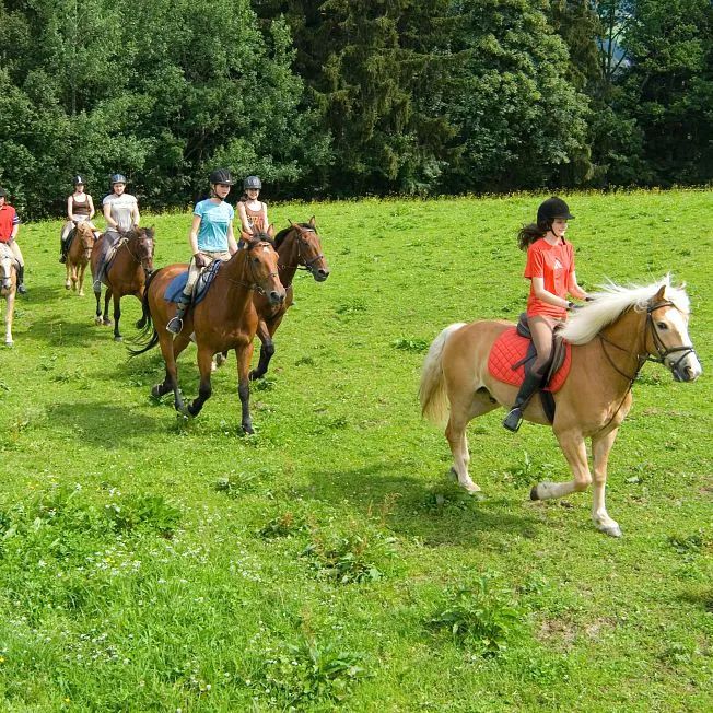 /media/gridteaser/reiten-im-brixental.webp