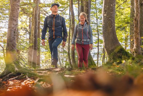 Herbstwanderung durch die Wälder in den Kitzbüheler Alpen